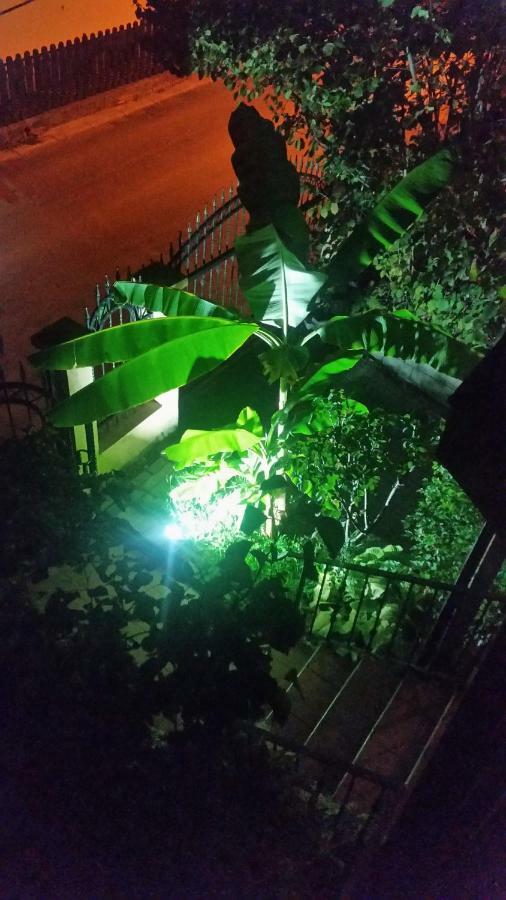 Misko'S Guest House سكوبجي المظهر الخارجي الصورة